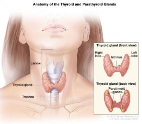 Phẫu Thuật Tuyến Giáp