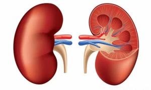 Chronic renal failure